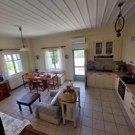 Palaiokrassa Sunny Appartment Mesaria  المظهر الخارجي الصورة