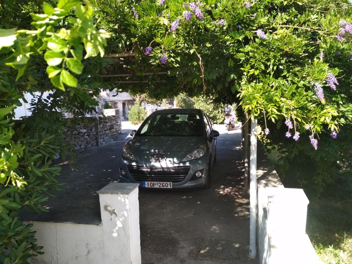 Palaiokrassa Sunny Appartment Mesaria  المظهر الخارجي الصورة