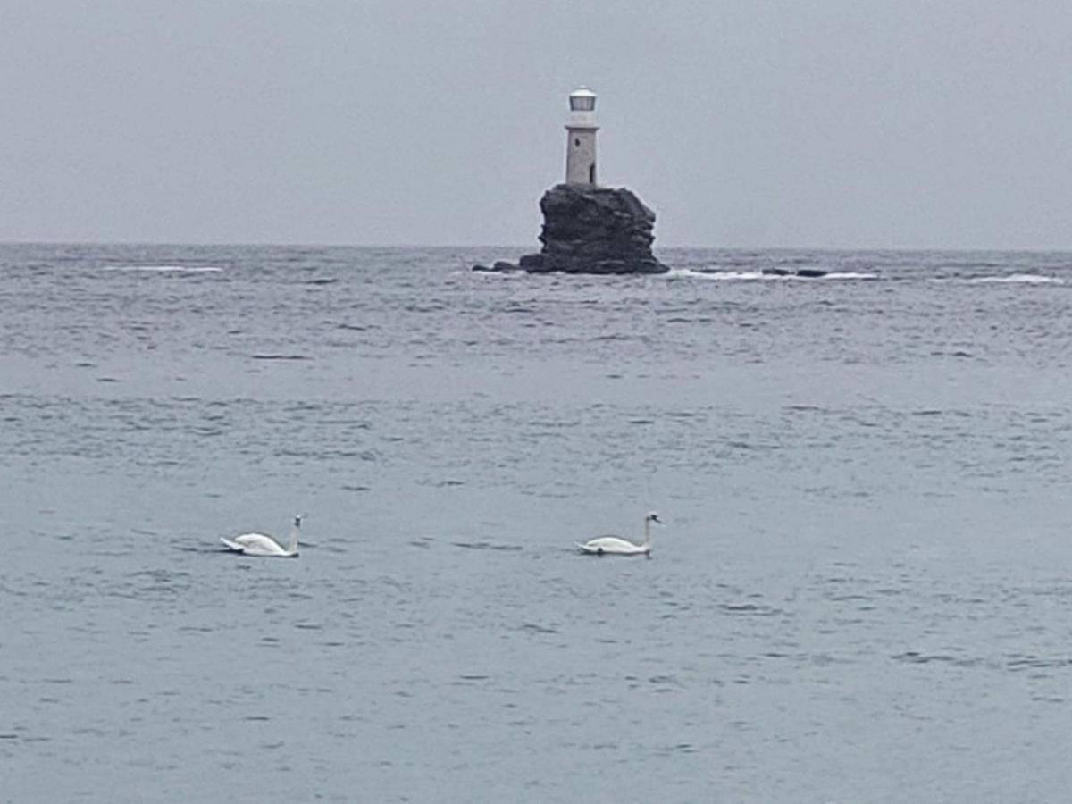 Palaiokrassa Sunny Appartment Mesaria  المظهر الخارجي الصورة