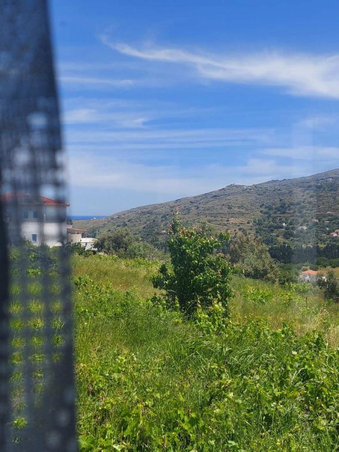 Palaiokrassa Sunny Appartment Mesaria  المظهر الخارجي الصورة